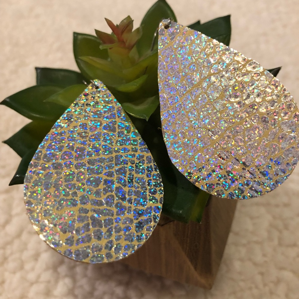 Iridescent Earrings